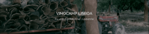 Vinocamp lisboa