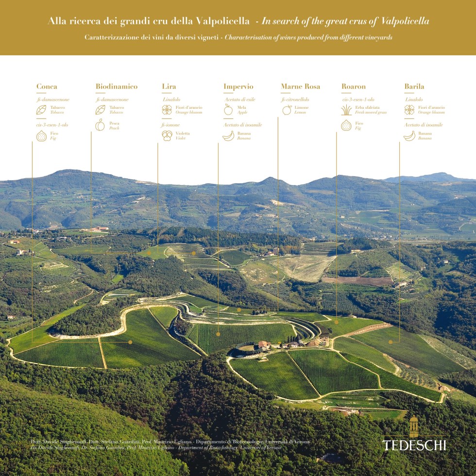 Tedeschi - Grandi Cru Valpolicella.jpeg