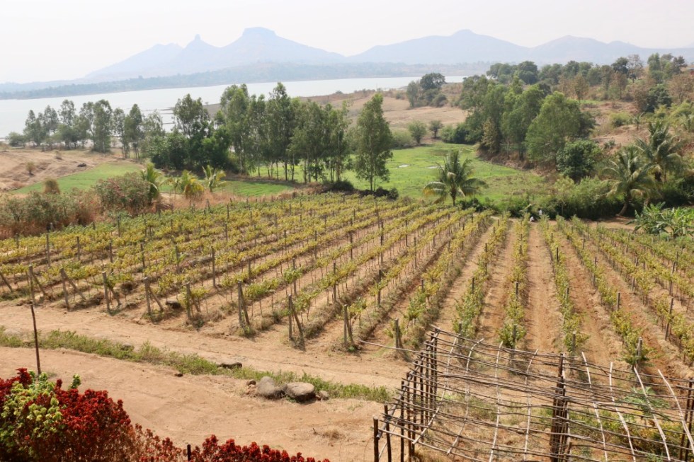 Valonné vineyards.jpg