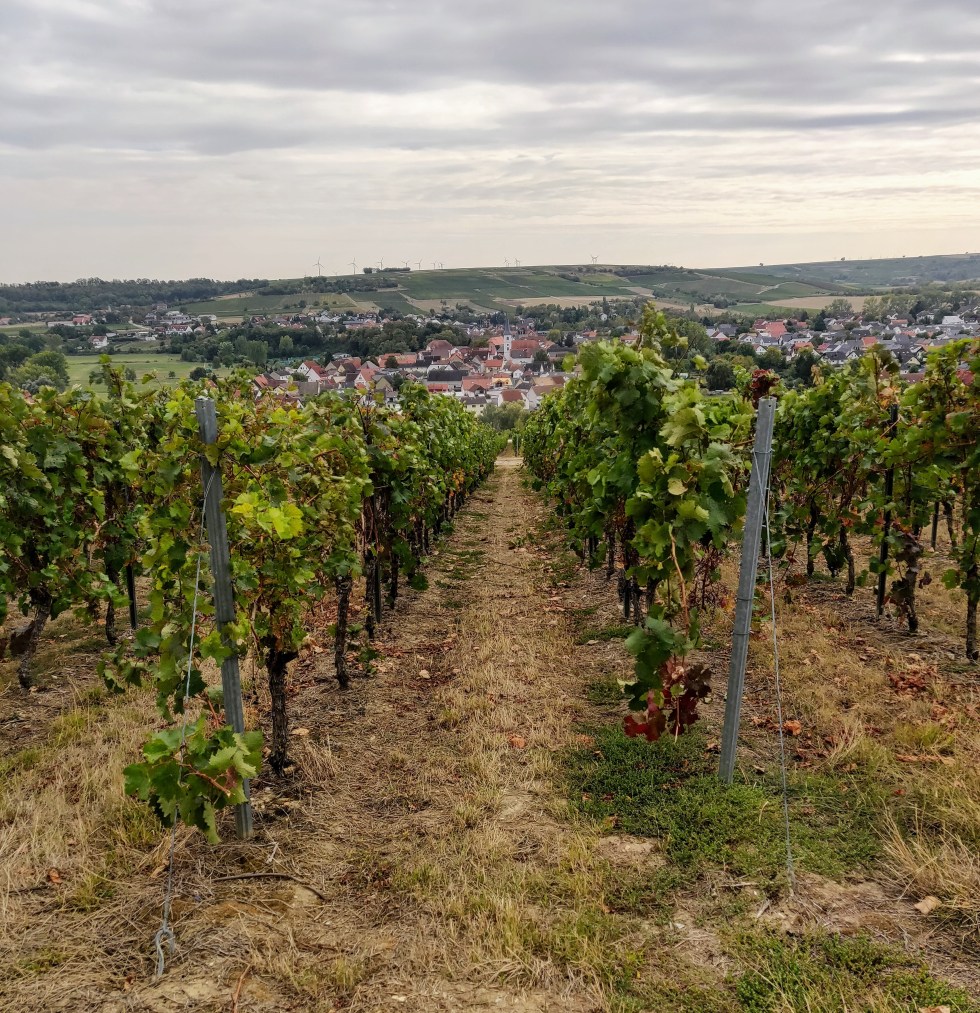Weingut Eppelmann.jpg